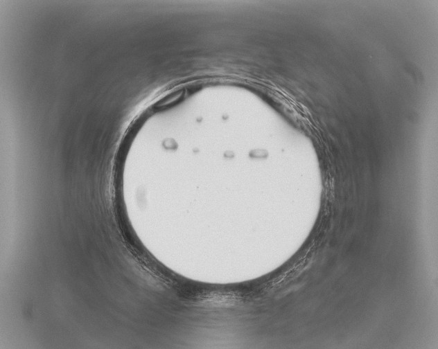 X0000115290248200912141101