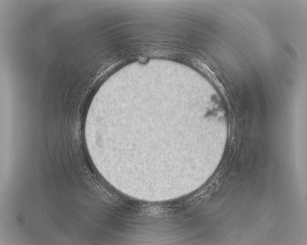 X0000115290249200912141101