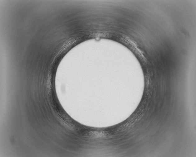 X0000115290250200912141101