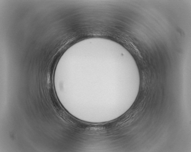 X0000115290251200912141101