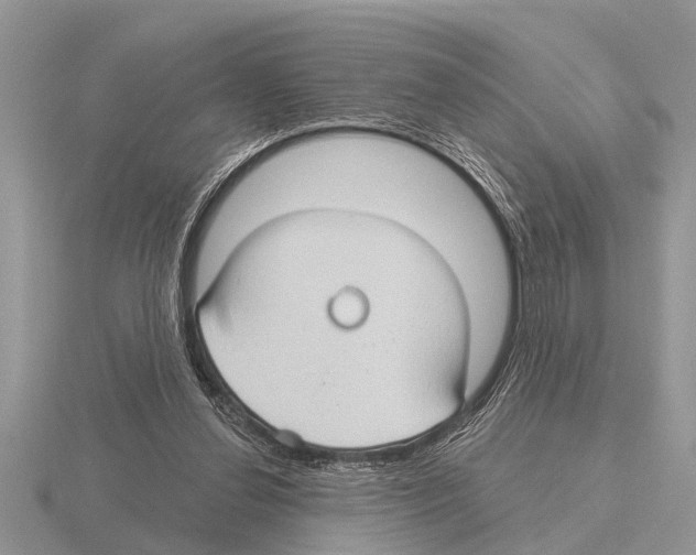 X0000115290252200912141101