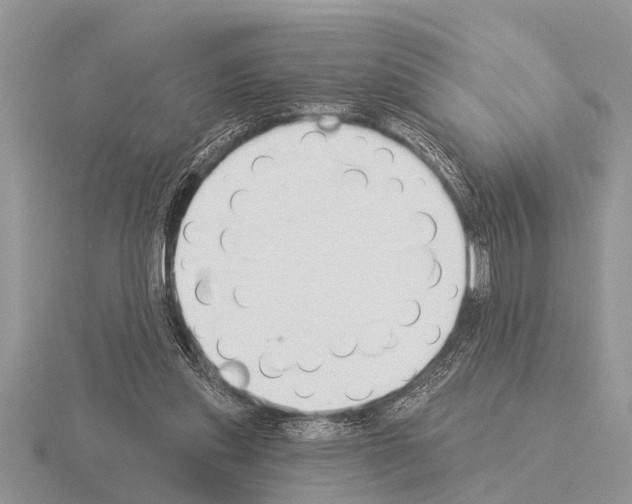 X0000115290253200912141101