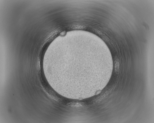 X0000115290254200912141101