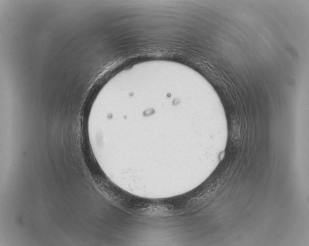 X0000115290256200912141101