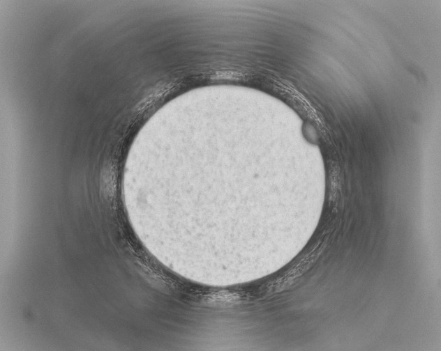 X0000115290257200912141101