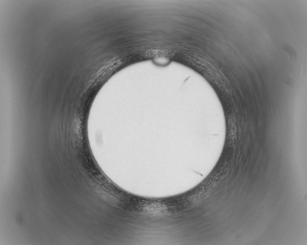 X0000115290258200912141101