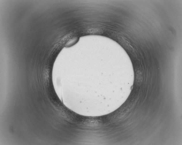 X0000115290260200912141102