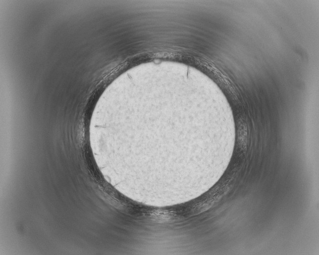 X0000115290261200912141102