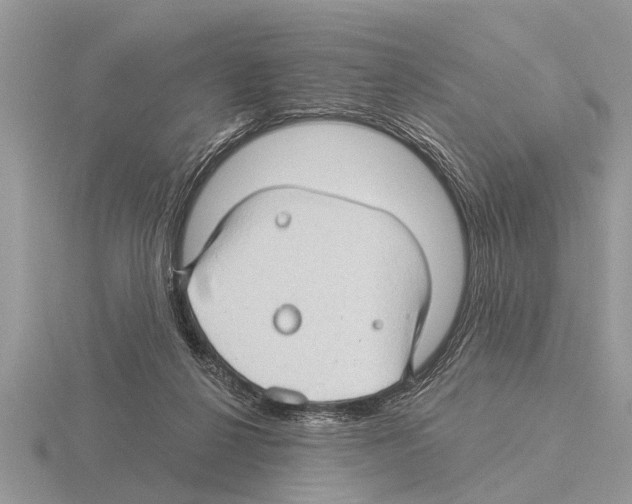 X0000115290264200912141102