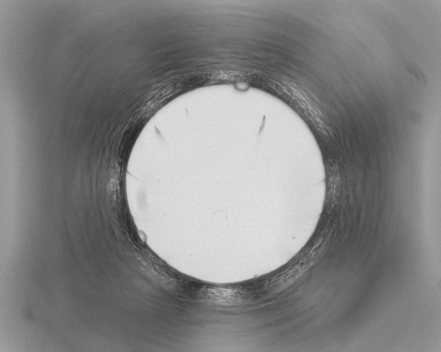 X0000115290265200912141102