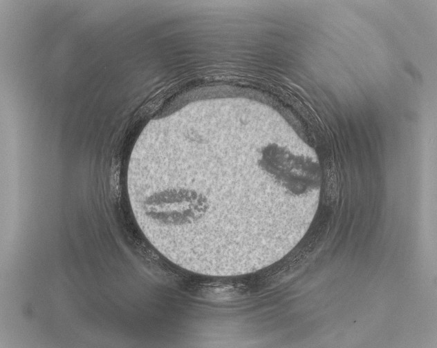 X0000115290267200912141102