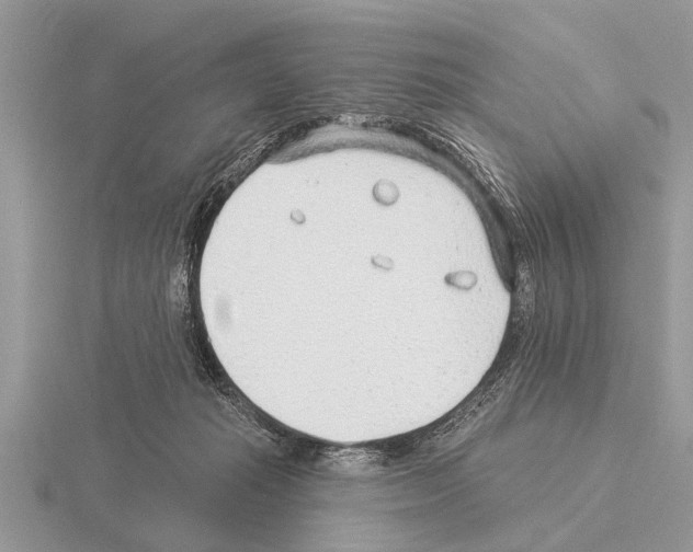 X0000115290269200912141102