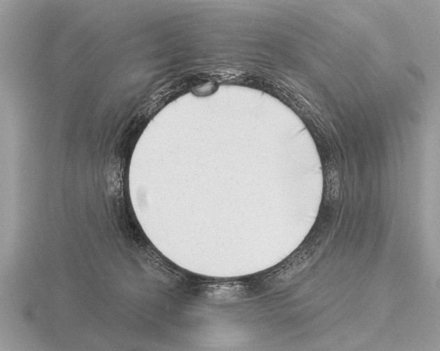 X0000115290274200912141102