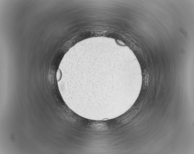 X0000115290283200912141102