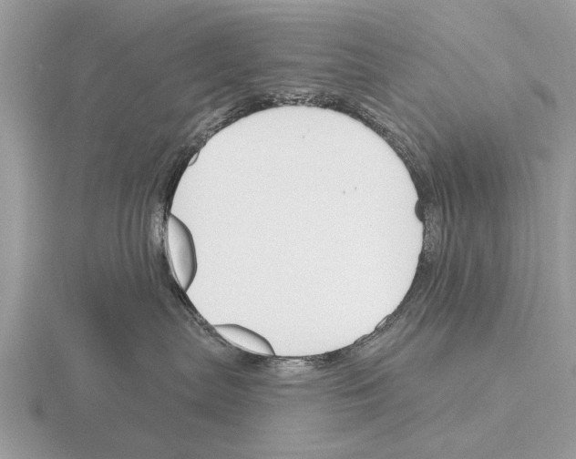 X0000115290287200912141102