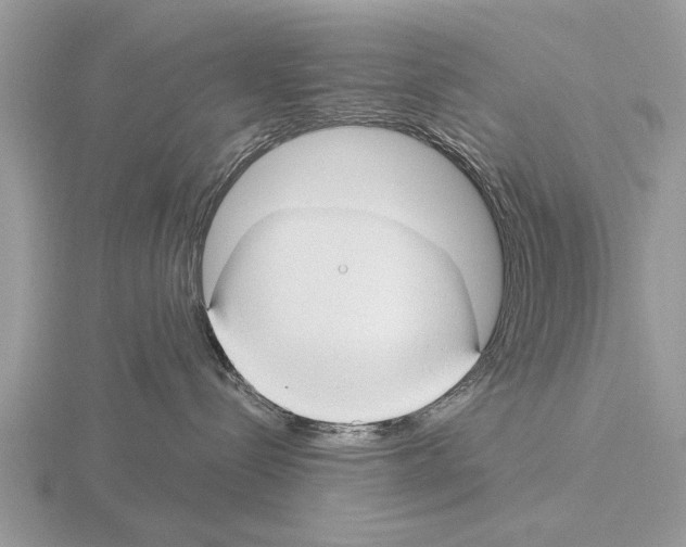 X0000115290288200912141102