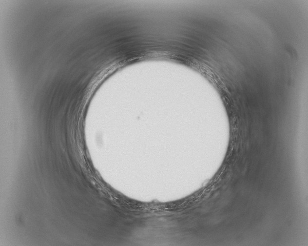 X0000115290289200912141101