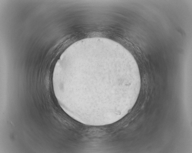 X0000115290290200912141101