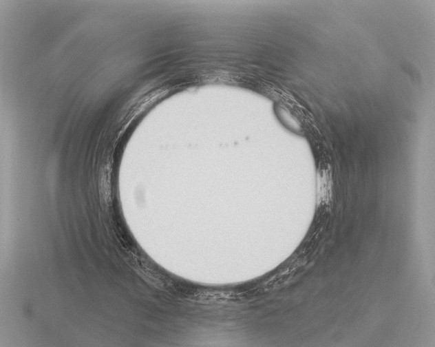 X0000115290291200912141101