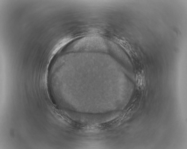 X0000115290292200912141101