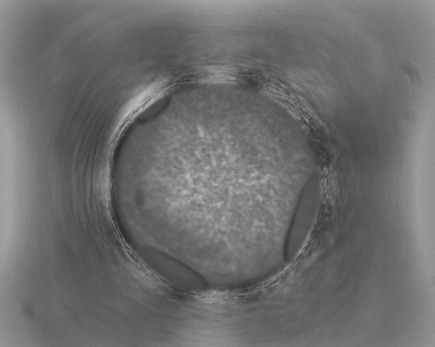 X0000115290293200912141101