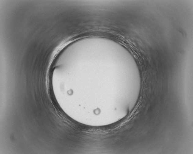 X0000115290294200912141101