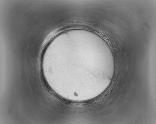 X0000115290296200912141101