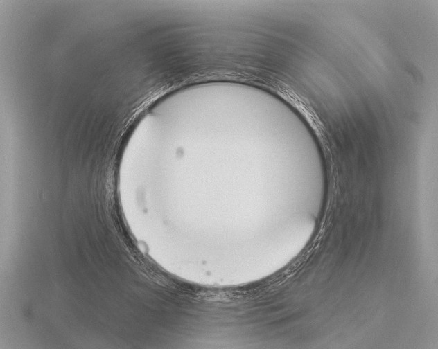 X0000115290297200912141101