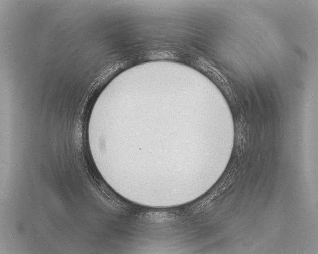 X0000115290298200912141101