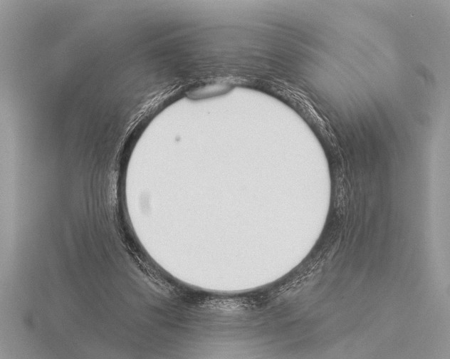 X0000115290299200912141101