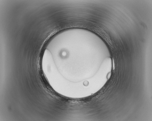 X0000115290300200912141101