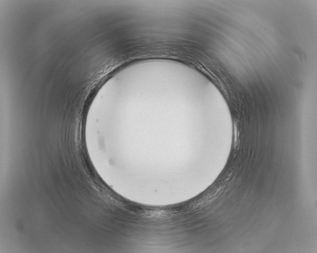 X0000115290301200912141101