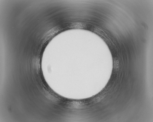 X0000115290302200912141101