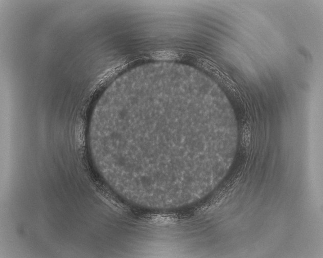 X0000115290303200912141101