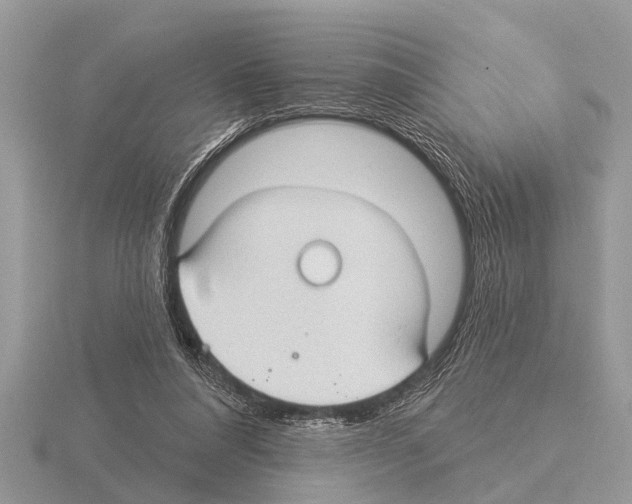 X0000115290304200912141101