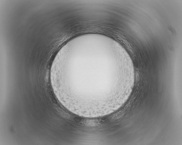 X0000115290305200912141101