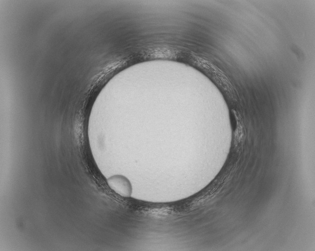 X0000115290306200912141101