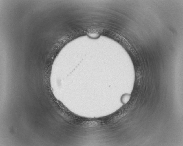 X0000115290307200912141101