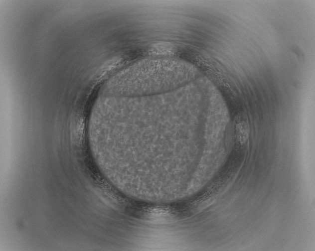 X0000115290308200912141101