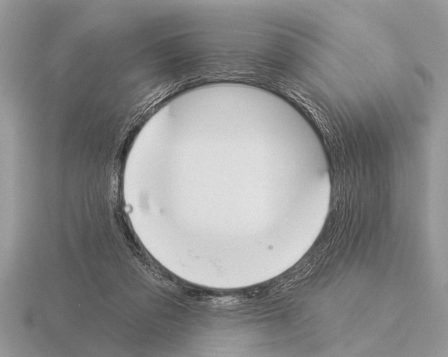 X0000115290309200912141101