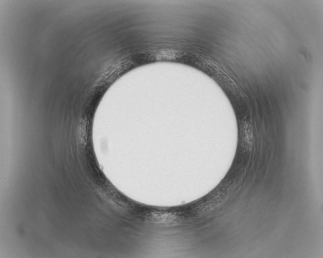 X0000115290311200912141101