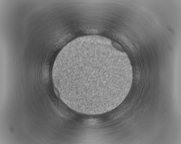 X0000115290312200912141101