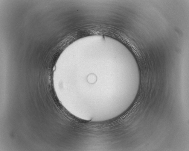 X0000115290313200912141101