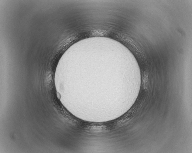 X0000115290314200912141101