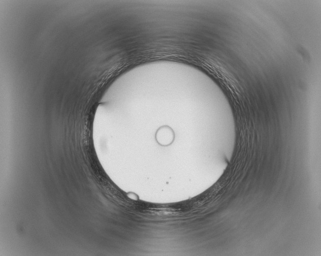 X0000115290316200912141101