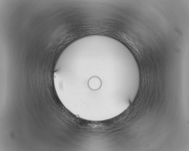 X0000115290317200912141101