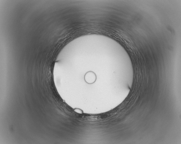 X0000115290320200912141101