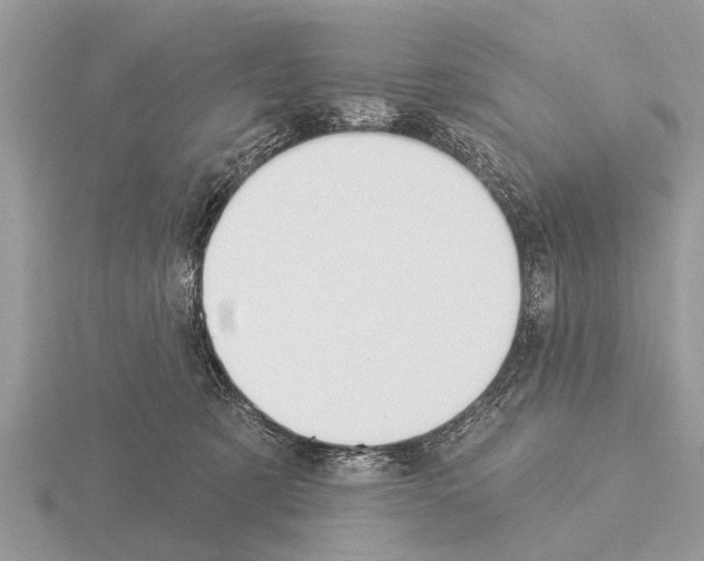 X0000115290321200912141101