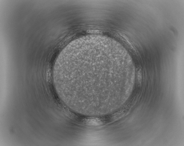 X0000115290322200912141101