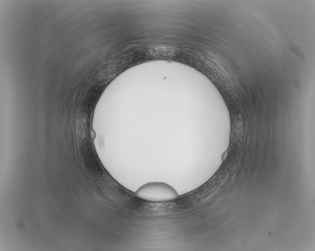 X0000115290323200912141101